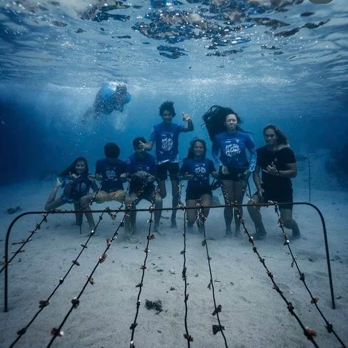 Giving Back to Coral Gardners to Help Save the Reef